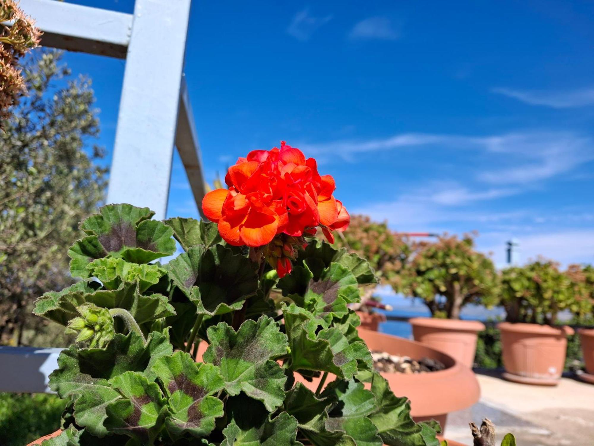 Apartamento Amar Seaside Ksamil Exterior foto