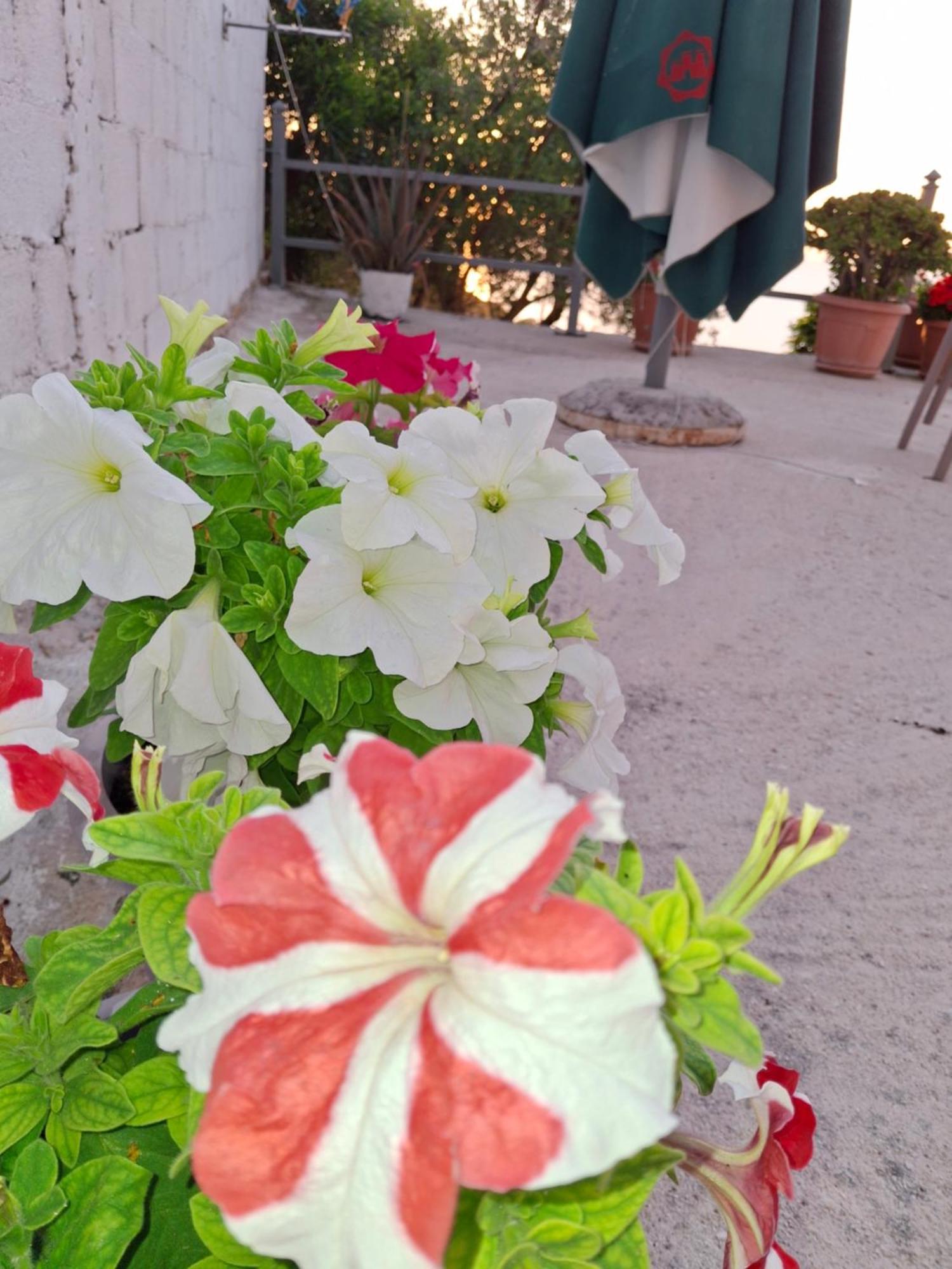 Apartamento Amar Seaside Ksamil Exterior foto